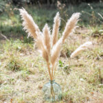 vase avec pampas décoration cérémonie laïque