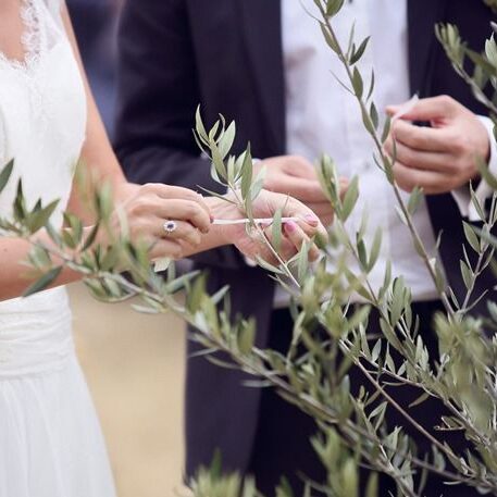 rituel arbre à voeux
